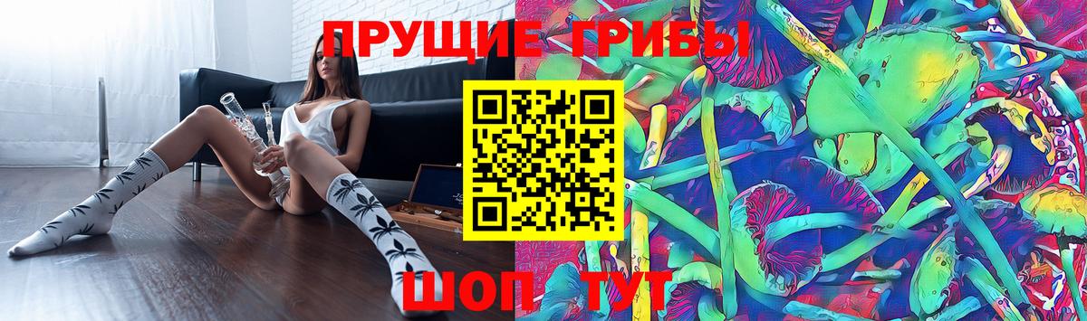 Галлюциногенные грибы Psilocybe Котельники
